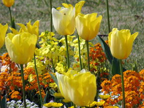 �l���ΉԔ� 2014 �l���΃K�[�f���p�[�N