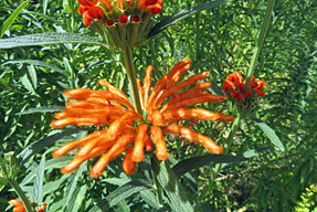 �J�G���L�Z���^