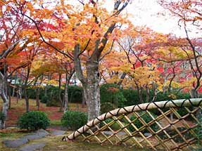 箱根美術館・庭園