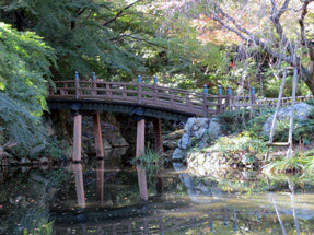 浜松城公園日本庭園