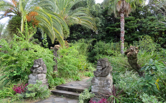 �C���h�l�V�A�뉀