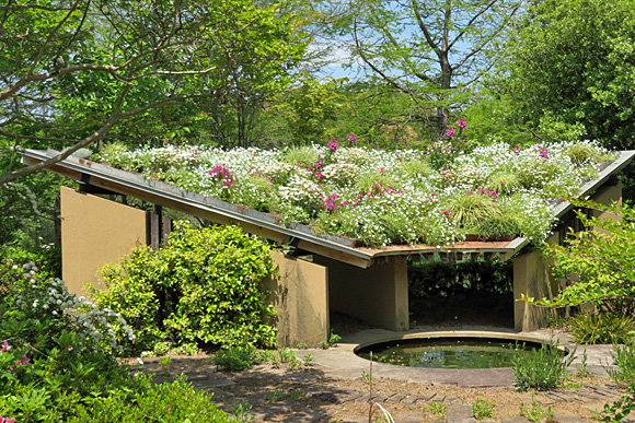 春の屋根花壇