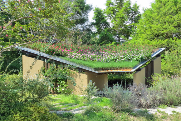 盛夏の屋根花壇