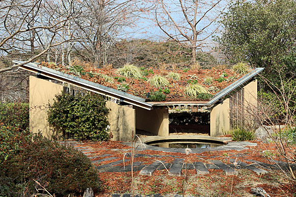 冬の屋根花壇