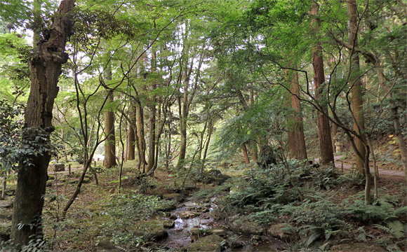 成田山公園