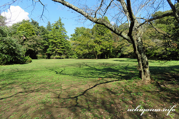 佐倉城址公園