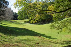 佐倉城址公園