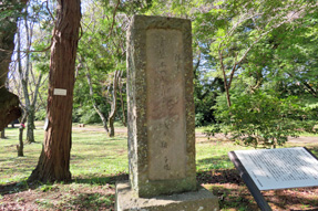 佐倉城址公園・正岡子規の句碑