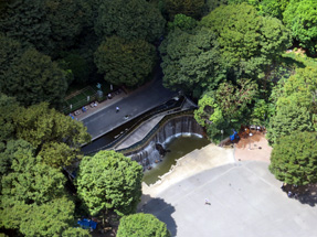 新宿中央公園・新宿ナイアガラの滝