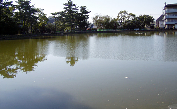 猿沢池