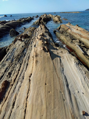 �����C��