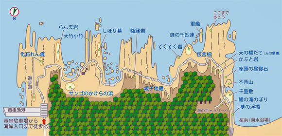 �����C��