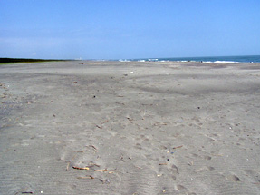 米津の浜