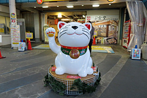 ひろめ市場