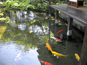 湧水庭園　四明荘  