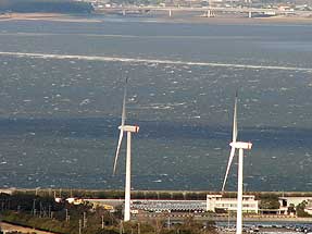 風力発電