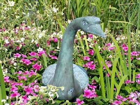 アヒル