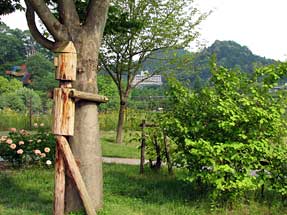 木にだっこ
