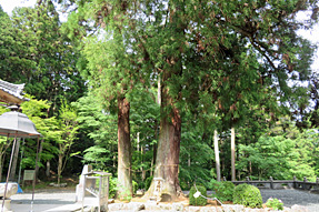 43番札所 明石寺