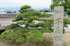 56番札所 泰山寺
