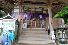 �U�O�ԎD�� ����