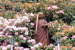 �U�O�ԎD�� ����