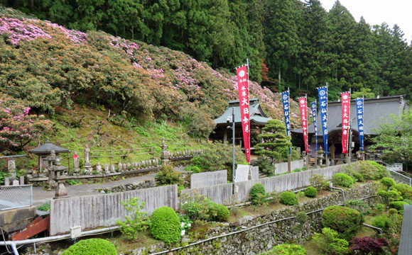 �U�O�ԎD�� ����