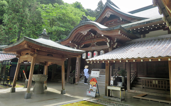 �U�S�ԎD�� �O�_��