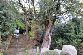 67番札所 大興寺