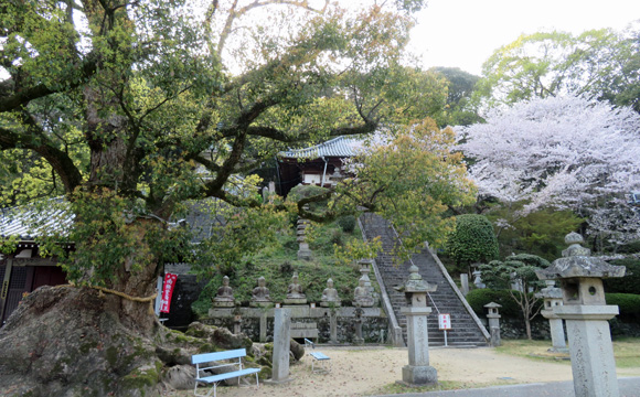 �U�W�ԎD�� �_�b�@