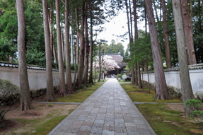 29番札所 国分寺