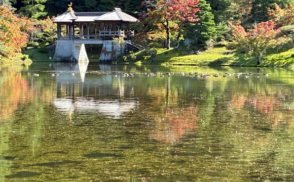 �C�w�@���{