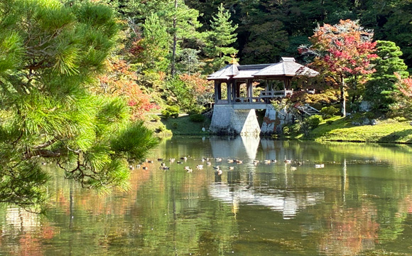 �C�w�@���{