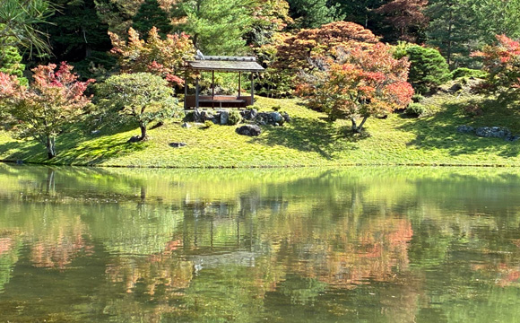 �C�w�@���{