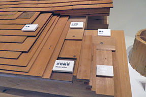 ���{���z