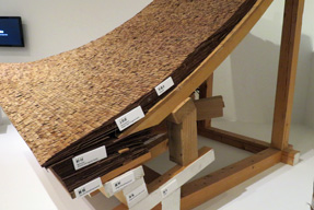 ���{���z