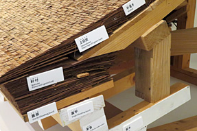 ���{���z