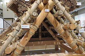 ���{���z