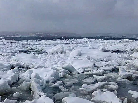 �K�����R���E�T