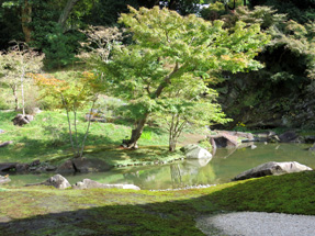 円覚寺・方丈庭園