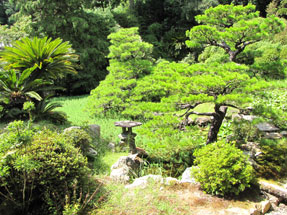 本興寺・小堀遠州作の庭園
