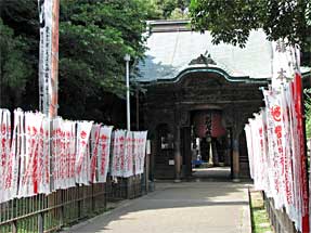 豊川稲荷・千本のぼり