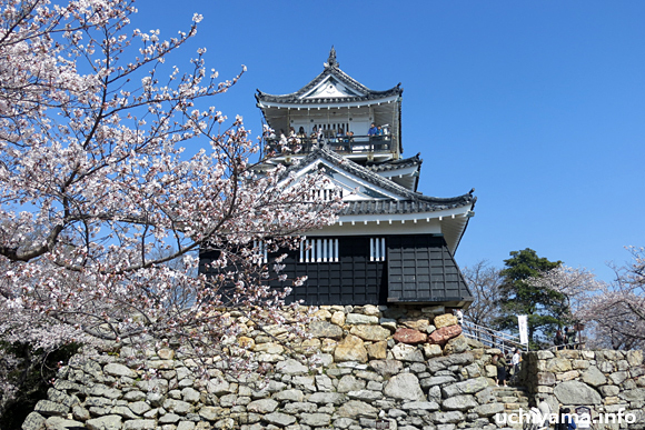 浜松城の桜