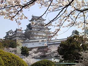 姫路城と桜