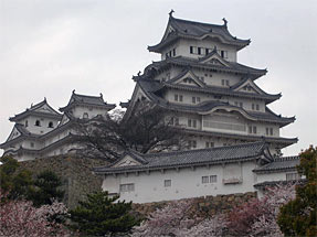 姫路城と桜