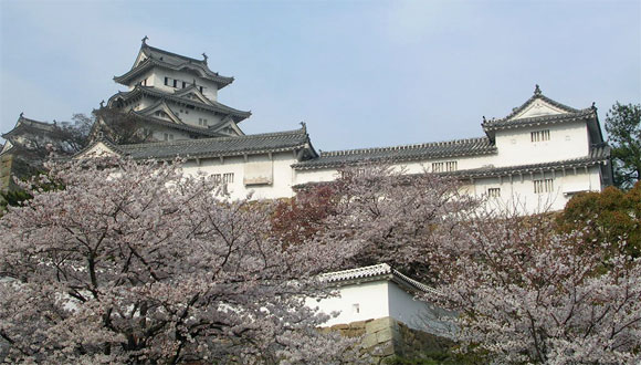 姫路城と桜