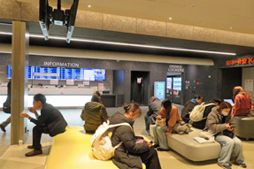 �o�X�^�[�~�i���������d�F