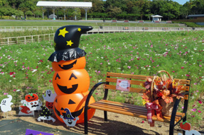 �n���E�B��