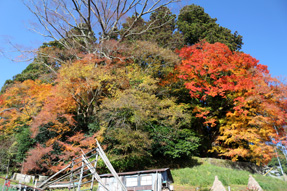 三所神社の秋