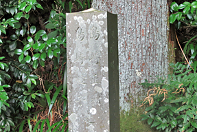島崎正樹の墓